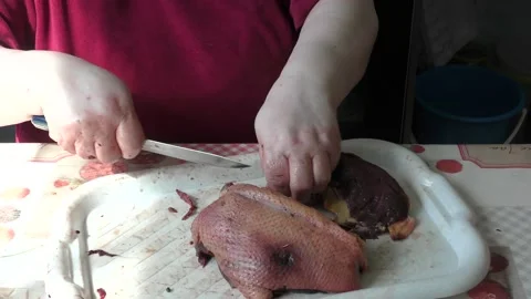 Home cooking process.  The cook cuts the goose into pieces. Video stock 155536459