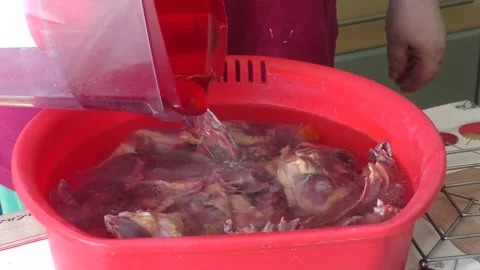 Home cooking process.  The cook cuts the goose into pieces. Video stock 155537273
