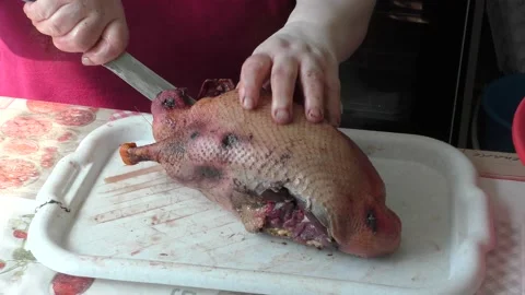Home cooking process.  The cook cuts the goose into pieces. Stock Footage 155537456