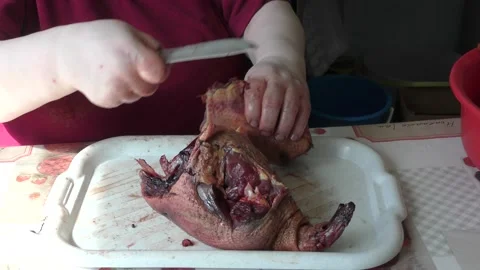 Home cooking process.  The cook cuts the goose into pieces. Stock Footage 155537877