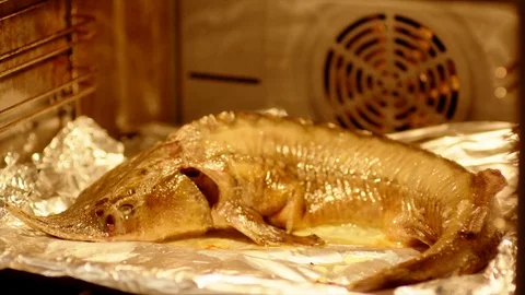 Home cooking of sturgeon Stock Footage 71634388
