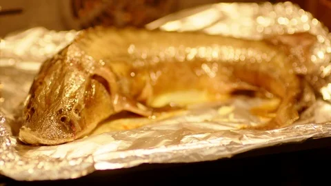 Home cooking of sturgeon Stock Footage 71635641