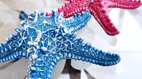 Home decor concept. close-up, two starfish blue and pink on a transparent glass Stock Footage 111162502