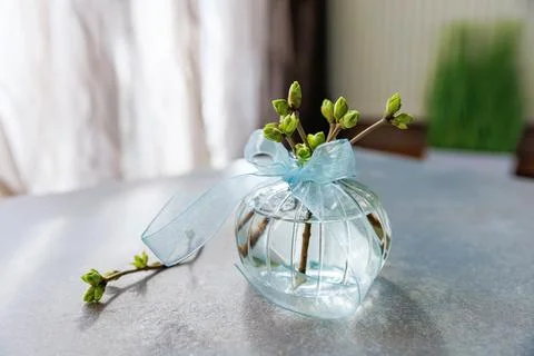 Home decor with spring branches in vase and ribbon.. Foto stock