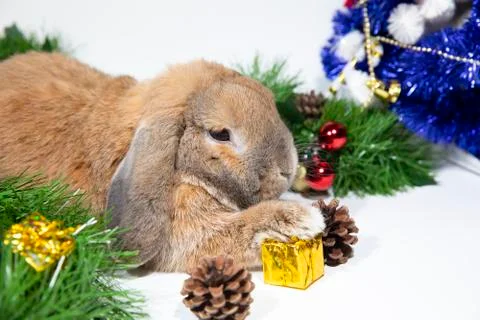 Home decorative rabbit on a decorated background in the New Year's style. Chr Stock Photos