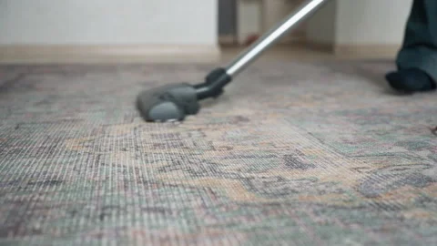 Home environment with cleaner meticulously dusting elaborate carpet fibers Stock Footage 337466245