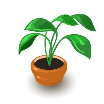 Home flower in pot. Vector object element decoration Stock Illustration
