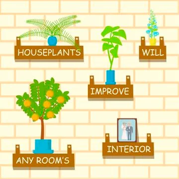 Home flowers for interior Stock Illustration