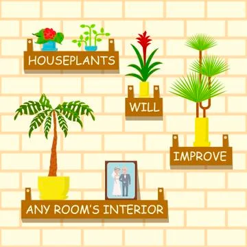 Home flowers for interior Stock Illustration
