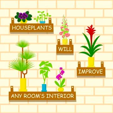 Home flowers in pots Stock Illustration