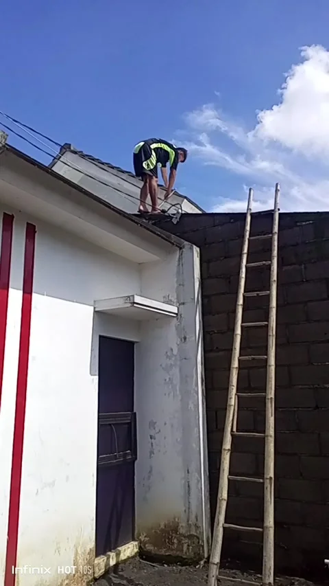 Home 動画素材 236446269