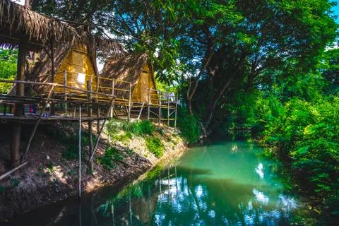 Home in forest on background Stock Photos