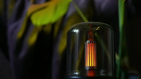 Home fragrance aromatic diffuser with essential oil. Modern air humidifier at Stock Footage 319428789