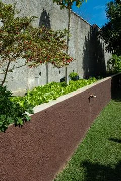 Home garden with different types of lettuce and biquinho pepper vertical. Stock Photos