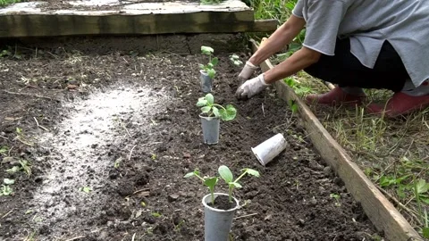 Home Garden 库存影片 149833589