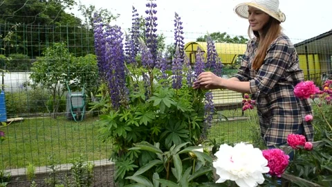 Home garden Stock Footage 156305126