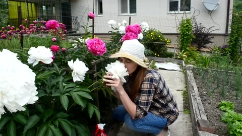 Home garden Stock Footage 156305630