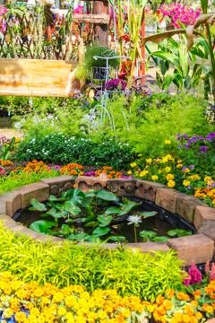 In home garden. Stock Photos