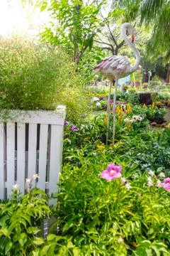 In home garden. Foto stock
