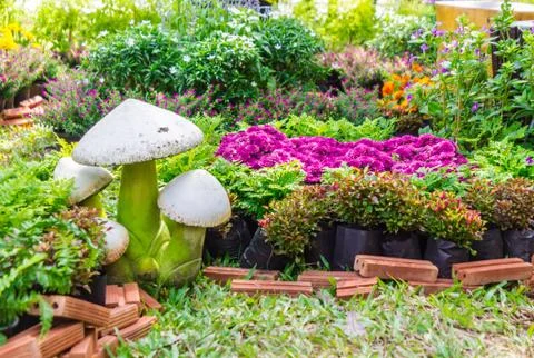 In home garden. Stock Photos