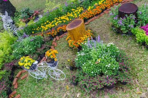 In home garden. Foto stock