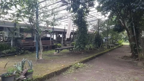 Home Garden View Video stock 329373559