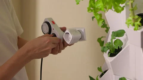 Home gardener setting up automation system with timer switch and smart plug to Stock Footage 318306502