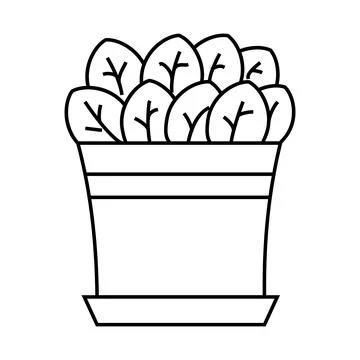 Home growing spinach line icon vector illustration Stock Illustration