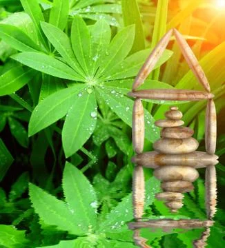 Home Stock Illustration