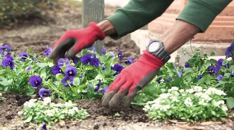 Home Improvement (HD) Stock Footage 46068500