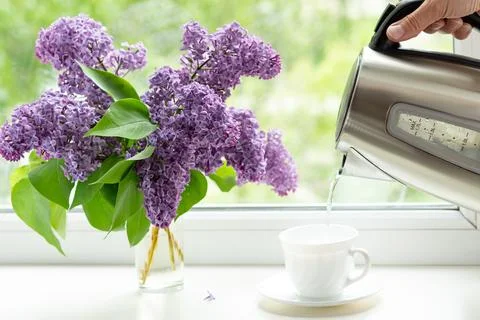 Home interior with a bouquet of blooming lilac flowers on the window. Stock Photos