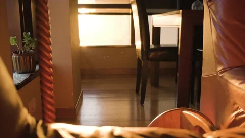 Home interior concept, Dust particles floating in the air, Sun rays as Stock Footage 170458887