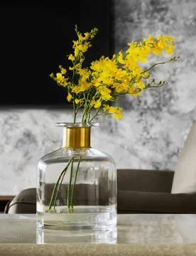 Home interior decor. Stock Photos