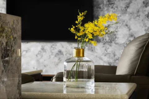 Home interior decor. Stock Photos