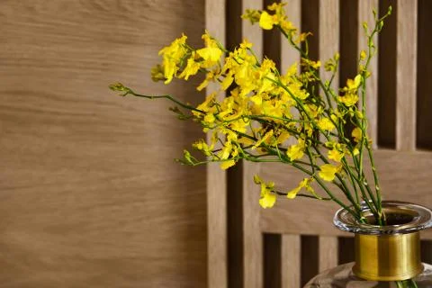 Home interior decor. Stock Photos