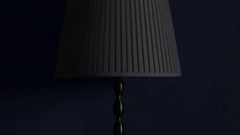 Home Lamp Turns Off And On Stock Footage 81048955