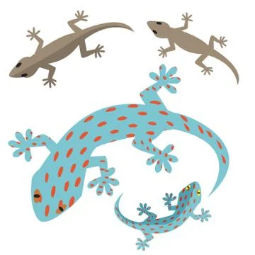 Home lizard and gecko lizard in flat Stock Illustration