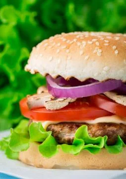 Home made burger Stock Photos