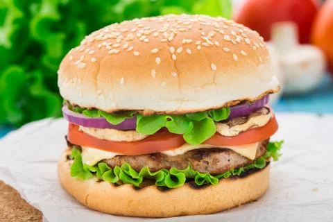 Home made burger Stock Photos