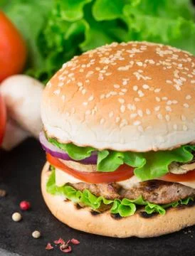 Home made burger Stock Photos