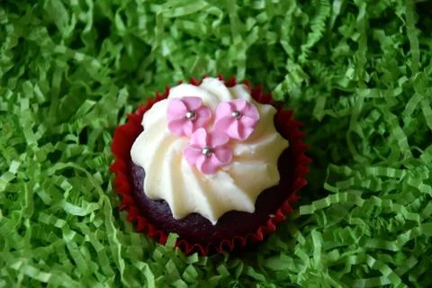 Home made decorated muffin. Easter, Mother's day, Valentine's day concept. Stock Photos