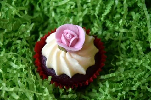 Home made decorated muffin. Easter, Mother's day, Valentine's day concept. Stock Photos