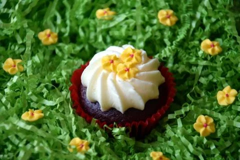 Home made decorated muffin. Easter, Mother's day, Valentine's day concept. Stock Photos