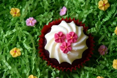 Home made decorated muffin. Easter, Mother's day, Valentine's day concept. Stock Photos