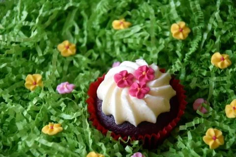 Home made decorated muffin. Easter, Mother's day, Valentine's day concept. Stock Photos
