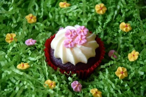 Home made decorated muffin. Easter, Mother's day, Valentine's day concept. Stock Photos