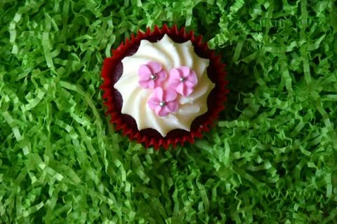 Home made decorated muffin. Easter, Mother's day, Valentine's day concept. Stock Photos