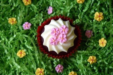 Home made decorated muffin. Easter, Mother's day, Valentine's day concept. Foto stock