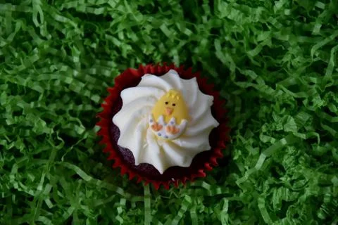 Home made decorated muffin. Easter, Mother's day, Valentine's day concept. Stock Photos