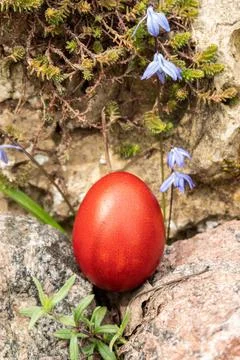 Home-made red Easter egg between the stones Stock Photos